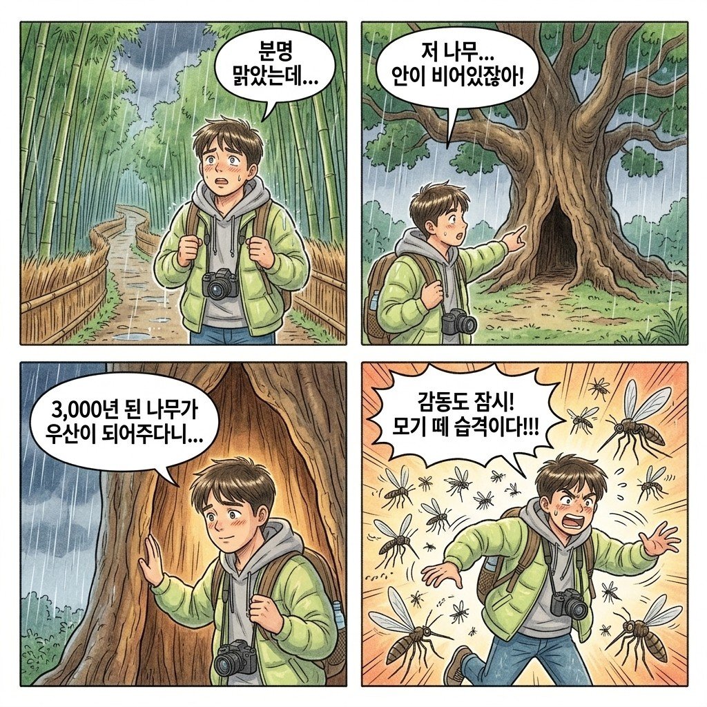 다케오 3000년 녹나무 4컷 만화 한국어 - Takeo camphor tree comic Korean